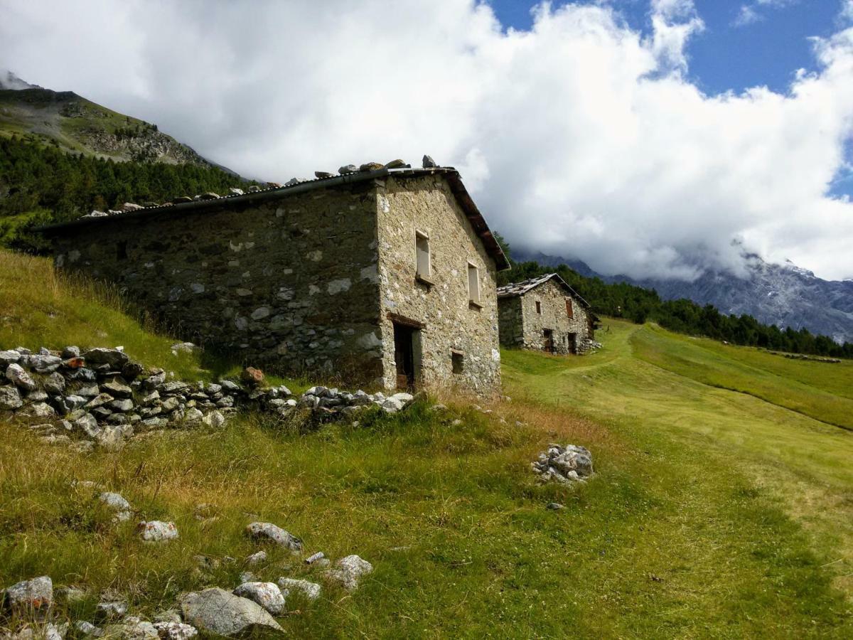 Casa Zebrusius - Zebrusius'S App Daire Valfurva Dış mekan fotoğraf