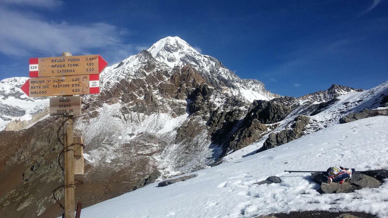 Casa Zebrusius - Zebrusius'S App Daire Valfurva Dış mekan fotoğraf