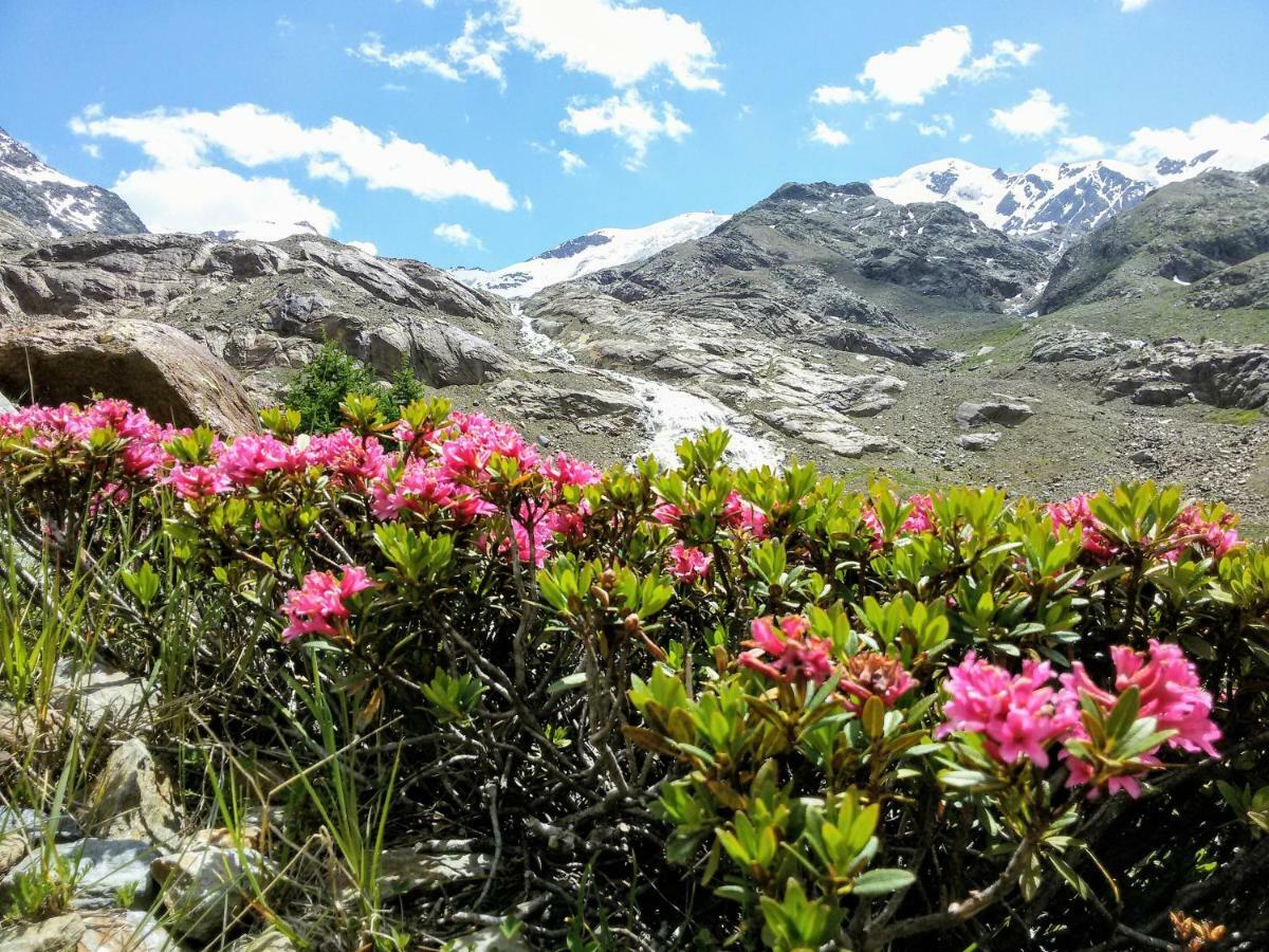 Casa Zebrusius - Zebrusius'S App Daire Valfurva Dış mekan fotoğraf